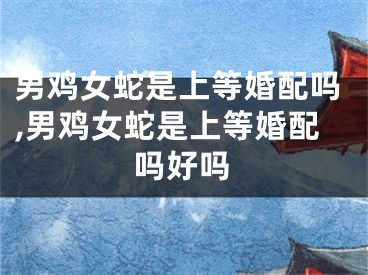 男鸡女蛇是上等婚配吗,男鸡女蛇是上等婚配吗好吗