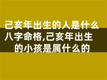 己亥年出生的人是什么八字命格,己亥年出生的小孩是属什么的