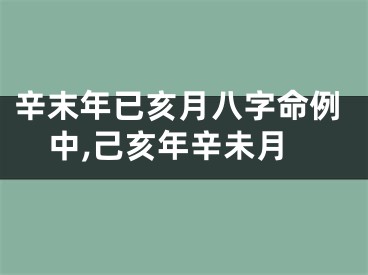 辛末年已亥月八字命例中,己亥年辛未月