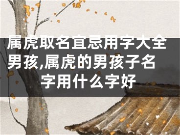 属虎取名宜忌用字大全男孩,属虎的男孩子名字用什么字好