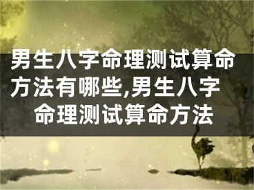 男生八字命理测试算命方法有哪些,男生八字命理测试算命方法