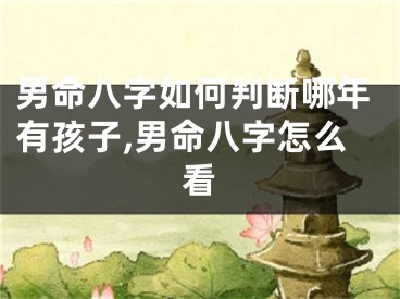 男命八字如何判断哪年有孩子,男命八字怎么看