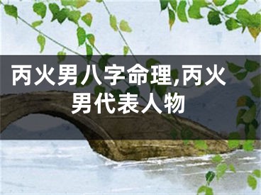 丙火男八字命理,丙火男代表人物