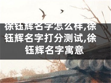 徐钰辉名字怎么样,徐钰辉名字打分测试,徐钰辉名字寓意