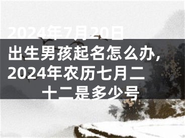 2024年7月20日出生男孩起名怎么办,2024年农历七月二十二是多少号