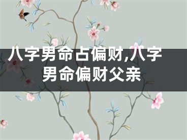 八字男命占偏财,八字男命偏财父亲