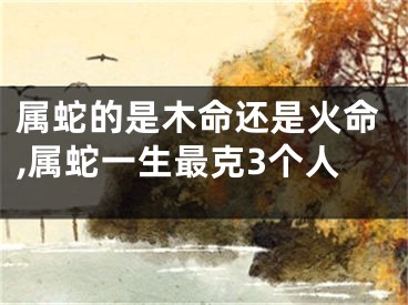 属蛇的是木命还是火命,属蛇一生最克3个人