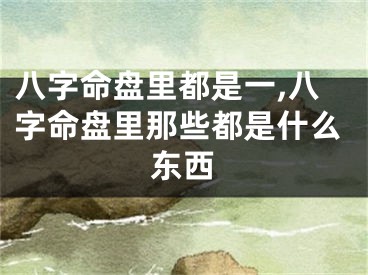 八字命盘里都是一,八字命盘里那些都是什么东西