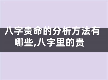 八字贵命的分析方法有哪些,八字里的贵