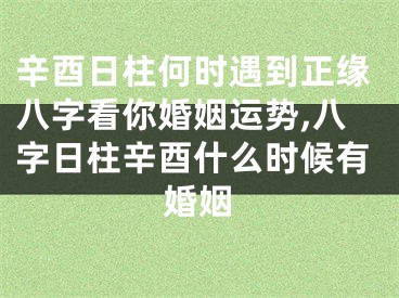 辛酉日柱何时遇到正缘八字看你婚姻运势,八字日柱辛酉什么时候有婚姻