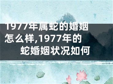 1977年属蛇的婚姻怎么样,1977年的蛇婚姻状况如何