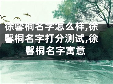 徐馨桐名字怎么样,徐馨桐名字打分测试,徐馨桐名字寓意