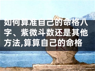 如何算准自己的命格八字、紫微斗数还是其他方法,算算自己的命格