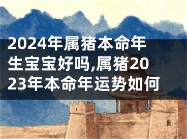 2024年属猪本命年生宝宝好吗,属猪2023年本命年运势如何