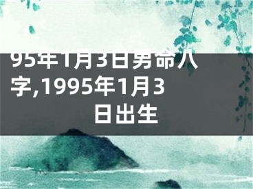 95年1月3日男命八字,1995年1月3日出生