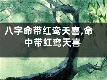 八字命带红鸾天喜,命中带红鸾天喜