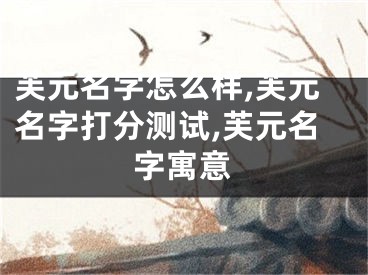 芙元名字怎么样,芙元名字打分测试,芙元名字寓意