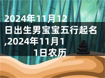 2024年11月12日出生男宝宝五行起名,2024年11月11日农历