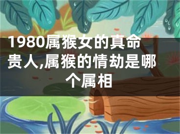 1980属猴女的真命贵人,属猴的情劫是哪个属相