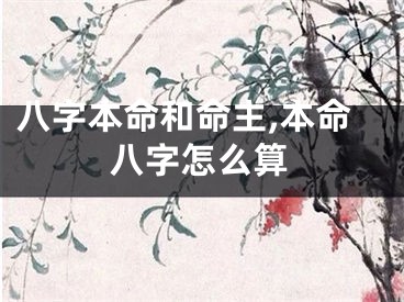 八字本命和命主,本命八字怎么算