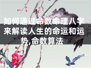 如何通过命数命理八字来解读人生的命运和运势,命数算法