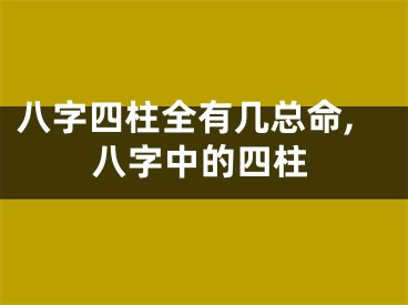 八字四柱全有几总命,八字中的四柱