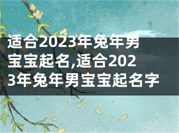 适合2023年兔年男宝宝起名,适合2023年兔年男宝宝起名字