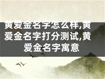 黄爱金名字怎么样,黄爱金名字打分测试,黄爱金名字寓意
