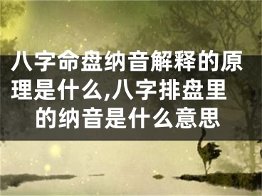 八字命盘纳音解释的原理是什么,八字排盘里的纳音是什么意思