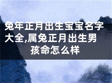 兔年正月出生宝宝名字大全,属兔正月出生男孩命怎么样