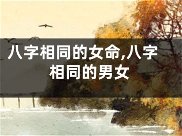 八字相同的女命,八字相同的男女