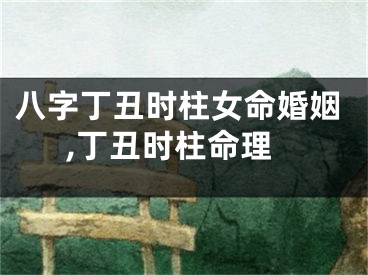 八字丁丑时柱女命婚姻,丁丑时柱命理