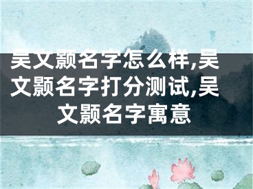 吴文颢名字怎么样,吴文颢名字打分测试,吴文颢名字寓意