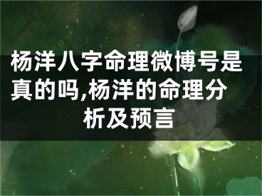 杨洋八字命理微博号是真的吗,杨洋的命理分析及预言