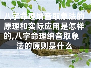 八字命理纳音取象法的原理和实际应用是怎样的,八字命理纳音取象法的原则是什么