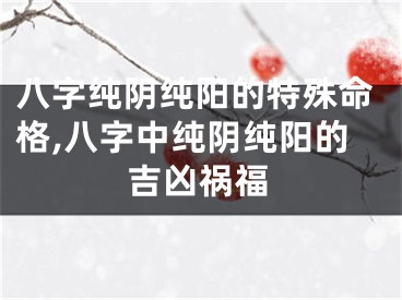 八字纯阴纯阳的特殊命格,八字中纯阴纯阳的吉凶祸福