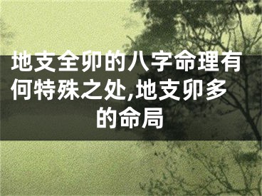 地支全卯的八字命理有何特殊之处,地支卯多的命局
