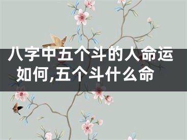 八字中五个斗的人命运如何,五个斗什么命