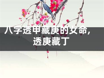 八字透甲藏庚的女命,透庚藏丁