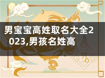 男宝宝高姓取名大全2023,男孩名姓高