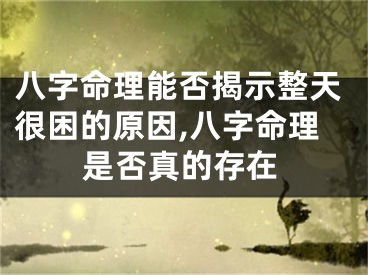 八字命理能否揭示整天很困的原因,八字命理是否真的存在