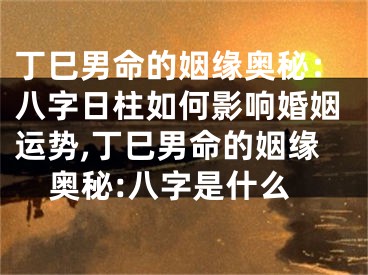 丁巳男命的姻缘奥秘:八字日柱如何影响婚姻运势,丁巳男命的姻缘奥秘:八字是什么