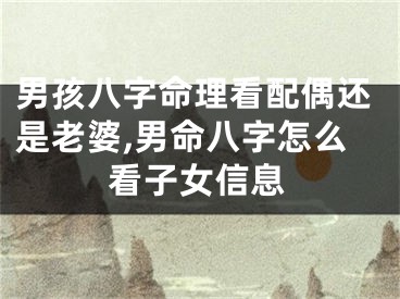 男孩八字命理看配偶还是老婆,男命八字怎么看子女信息