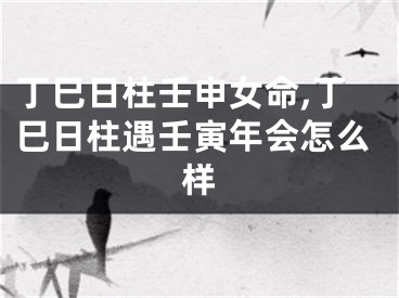 丁巳日柱壬申女命,丁巳日柱遇壬寅年会怎么样