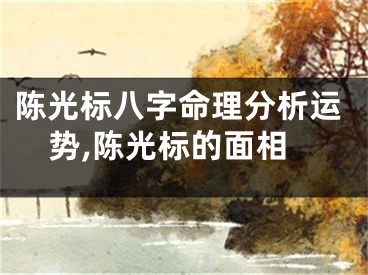 陈光标八字命理分析运势,陈光标的面相