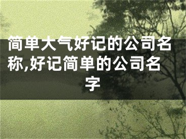简单大气好记的公司名称,好记简单的公司名字