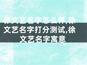 徐文艺名字怎么样,徐文艺名字打分测试,徐文艺名字寓意
