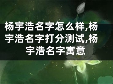 杨宇浩名字怎么样,杨宇浩名字打分测试,杨宇浩名字寓意