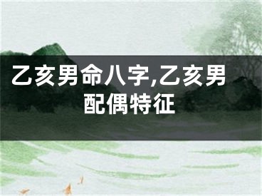 乙亥男命八字,乙亥男配偶特征
