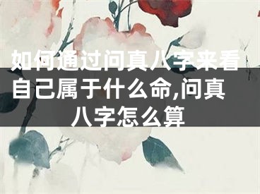 如何通过问真八字来看自己属于什么命,问真八字怎么算
